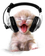 PodKatt