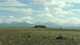 Nydelig natur danner majestetisk bakteppe i Om hester og menn (Foto: Europafilm).