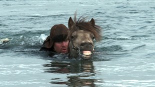 Hester kan også brukes til vanns i Om hester og menn (Foto: Europafilm).
