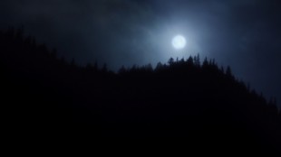 Dyster måne over skummel skog i Utburd - myten våkner (Foto: Storytelling Media).