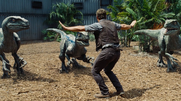 Owen (Chris Pratt) er oppasser for Velociraptorer i Jurassic World (Foto: United International Pictures).