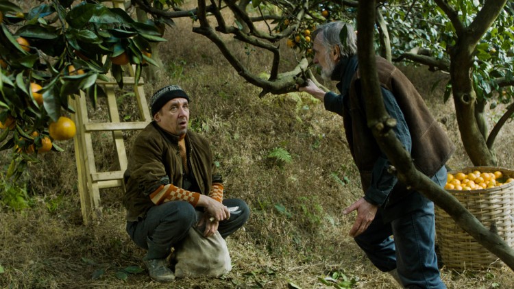 Margus (Elmo Nüganen) og Ivo (Lembit Ulfsak) har problemer med innhøstingen i Mandariner (Foto: Another World Entertainment Norway AS).