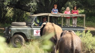 Barna og bestefar får kontakt med elefanter i Karsten og Petra på safari (Foto: SF Norge AS).