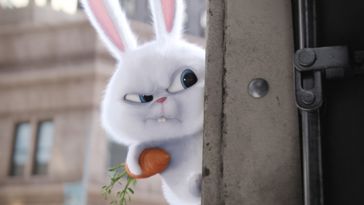 Den gale kaninen Snøball ønsker revolusjon i Kjæledyrenes hemmelige liv (Foto: United International Pictures)