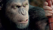 Oscarnominert 2012