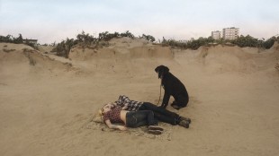 Par med hund på strand i En due satt på en gren og funderte over tilværelsen (Foto: SF Norge AS).