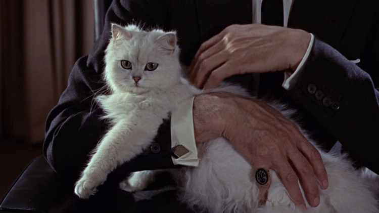 Blofeld og katta si i From Russia With Love. (Foto: SF Norge).