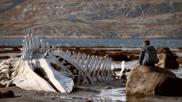 Skjelettet av noe stort er strandet i Leviatan (Foto: Arthaus).