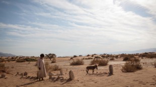 Beduingutten Theeb møter brutal sivilisasjon i Theeb - Ulven (Foto: AS Fidalgo).