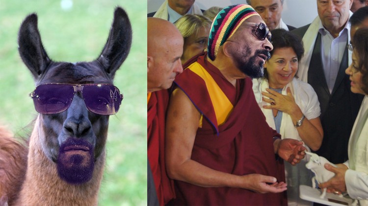Snoop-Lama