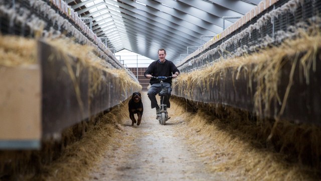 Nikolay Valheim (28). (Foto: Lars Erik Andreassen, NRK)