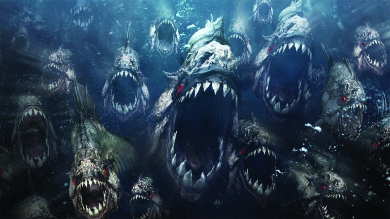 Piranha 3D