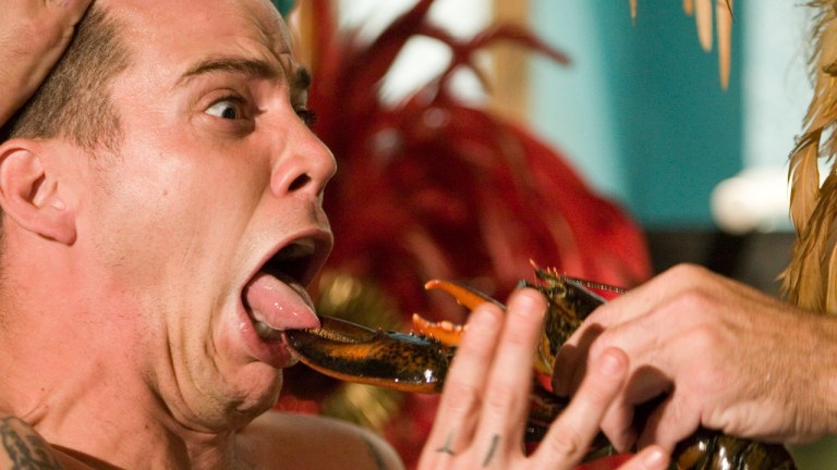 Jackass number two