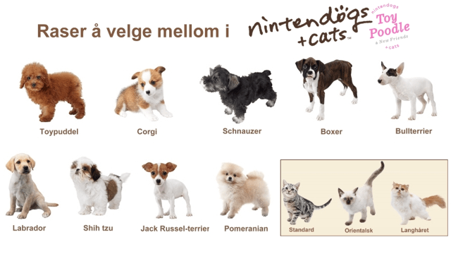 Rasene du kan velge mellom i Nintendogs + Cats: Toy Poodle And friends. (Foto: Nintendo)