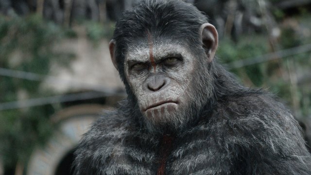 Andy Serkis gir liv til apen Caesar i den kommende storfilmen «Dawn of the Planet of the Apes». (Foto: 20th Century Fox)