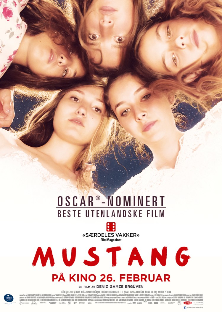 Mustang