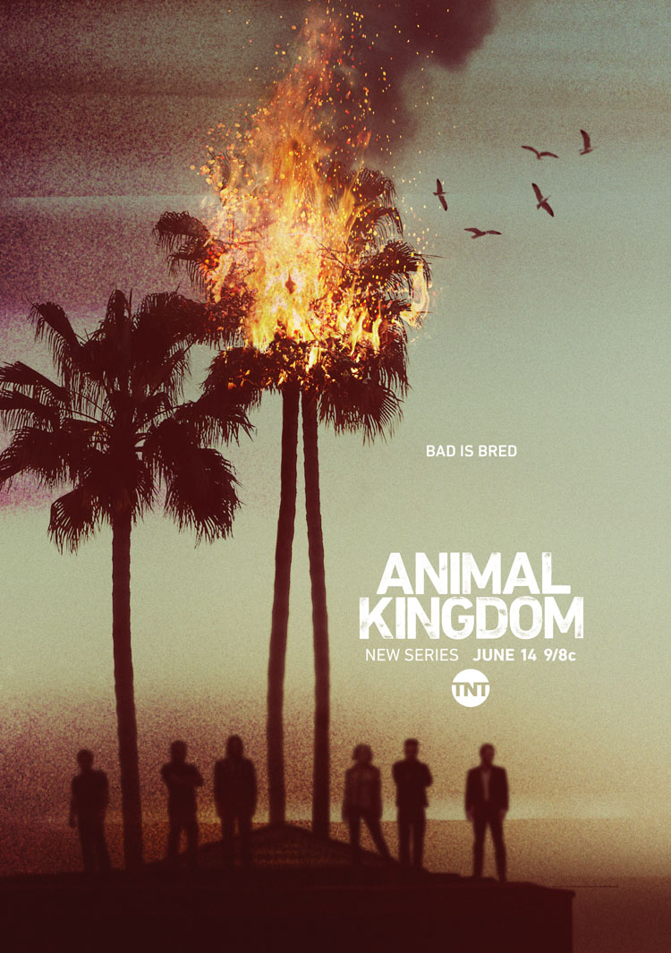 Animal Kingdom S01 E01 – E03