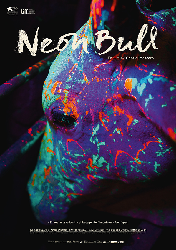 Neon Bull