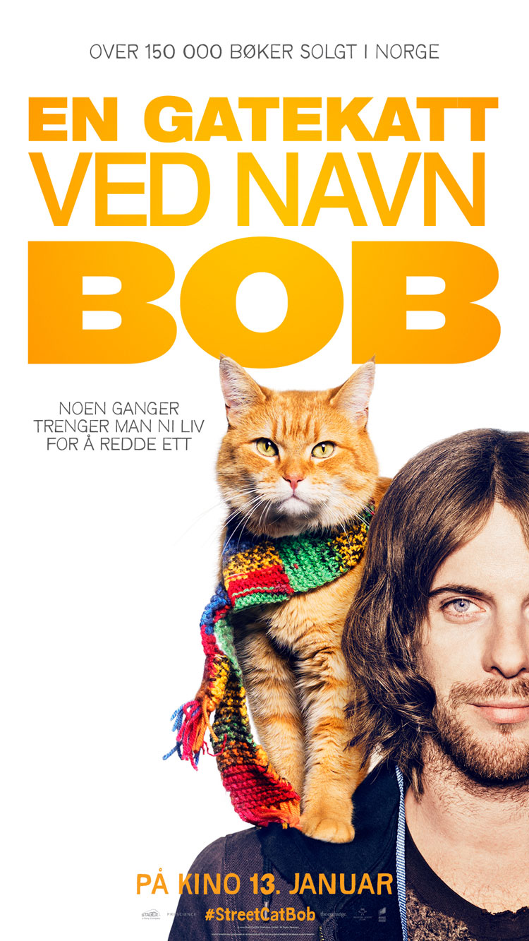 En gatekatt ved navn Bob