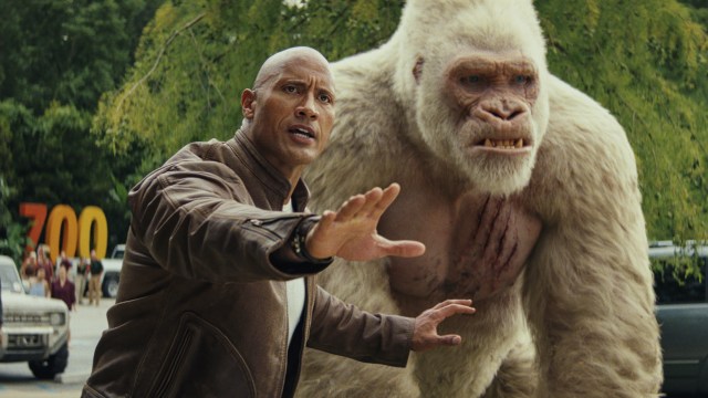 Vennskapet mellom Davis Okoye (Dwayne Johnson) og gorillaen George settes på prøve i Rampage, da sistnevnte får i seg noen uheldige kjemikalier. (Foto: SF Studios)