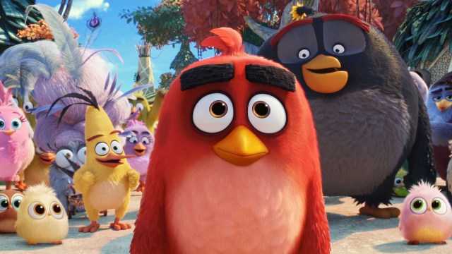 Helten Red blir nødt til å samarbeide med grisene i «Angry Birds filmen 2» (Foto: SF Studios)