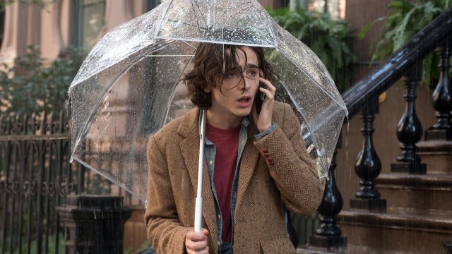 Timothée Chalamet spiller hovedrollen i Woody Allens «A Rainy Day in New York». (Foto: Scanbox)
