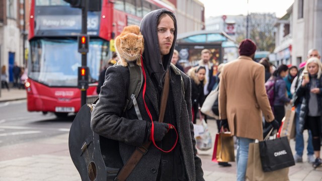 KALDE LONDON: James Bowen (Luke Treadaway) og katten Bob gjentar sine roller i en førjulsfortelling fra Londons kalde gater. FOTO: Another World Entertainment