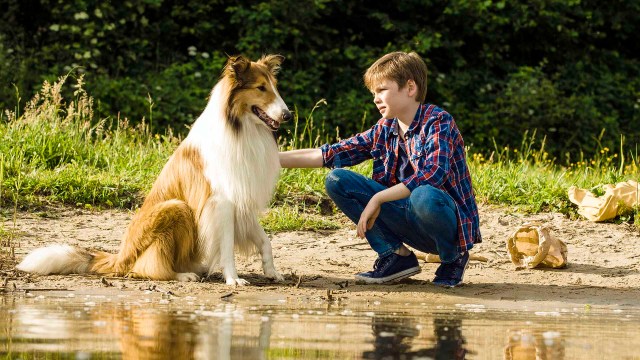 NÆRT FORHOLD: Florian (Nico Marischka) og Lassie (Bandit) i «Lassie kommer hjem». Foto: ©2019 TOM TRAMBOW