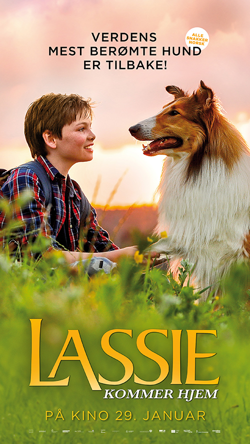 Lassie kommer hjem