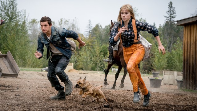 KULT KONSEPT: Tom Holland og Daisy Ridley spiller hovedrollene i science fiction-filmen ««Chaos Walking». FOTO: Nordisk Film Distribusjon.