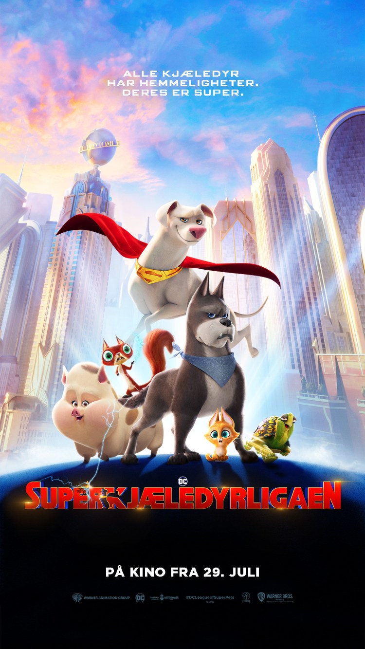 DC Super-kjæledyrligaen