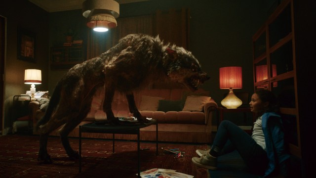 ULV ULV! Jenny (Mia Fosshaug Laubacher) oppnår nærkontakt av verste grad i «Vikingulven». Foto: SF Studios