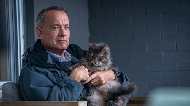 PUBLIKUMSFAVORITTER: Tom Hanks og søt katt er blant de velprøvde ingrediensene som møter publikum i «A Man Called Otto». FOTO: SF Studios