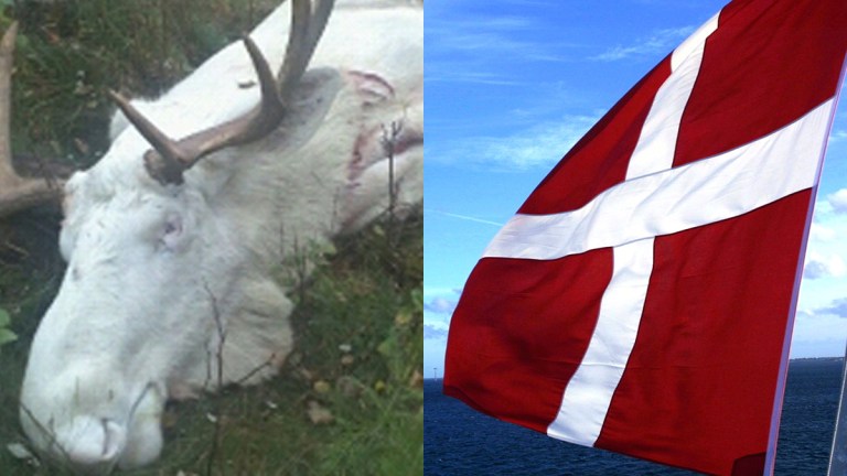 Angrende dansker
