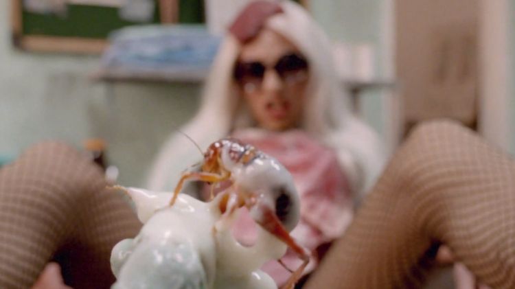 Musikk: Die Antwoord hundser Lady Gaga