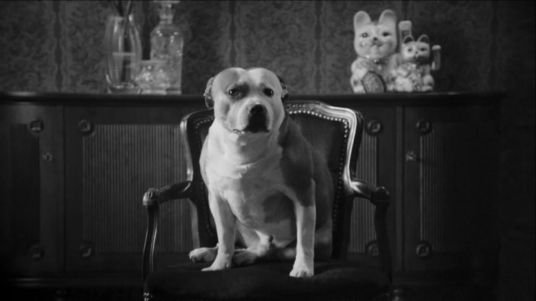 Musikk: Videopremiere: Yoga Fire