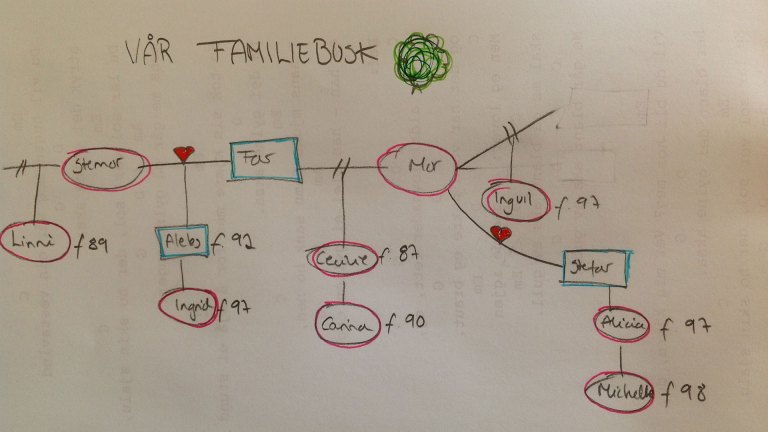Har du en komplisert familie?