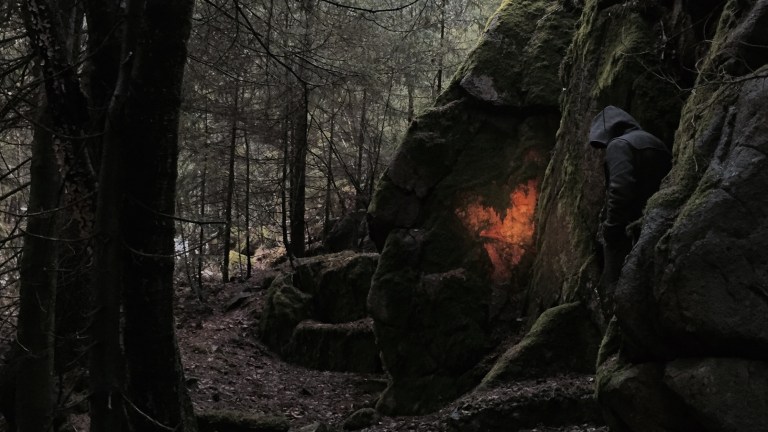 Ukens oppgave: «Skogen»