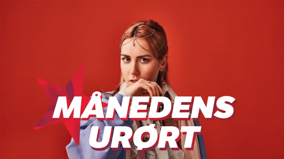 Iris lurte til seg gitar fra kommunen