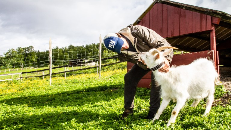 Gratis ferie i sommer? Wwoof!