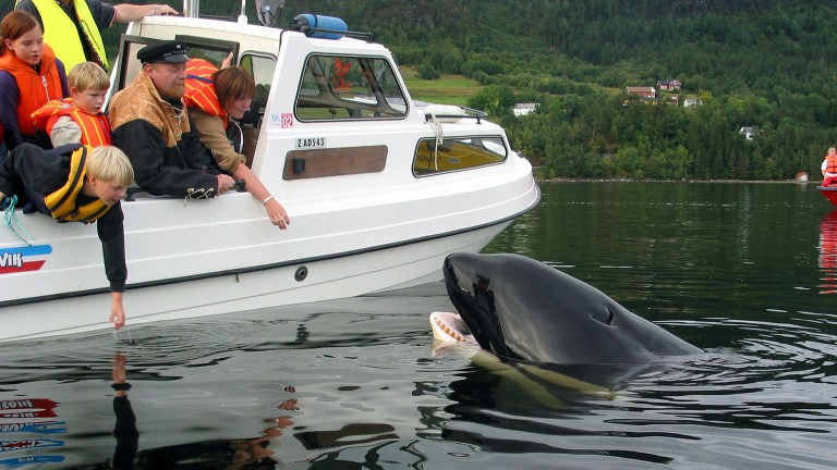 Gåten Keiko