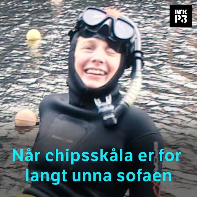 Link i bio: Chipsskåla