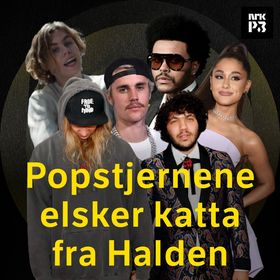 Link i bio: – Musikkrommet Cashmare cat