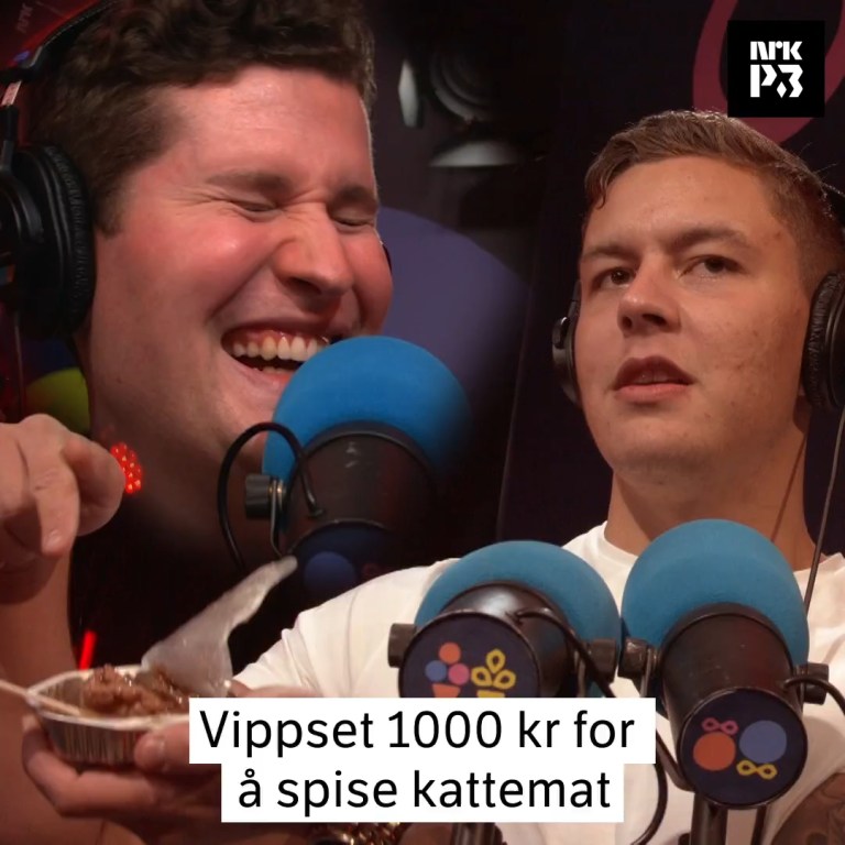 Link i bio: Vippset 1000kroner for å spise kattemat