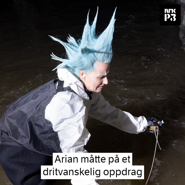 Link i bio: Arian måtte på et dritvanskelig oppdrag