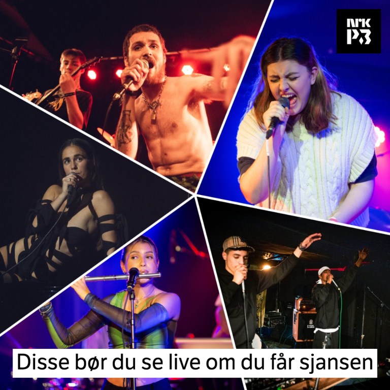 Link i bio: Disse liveartistene har vi troen på