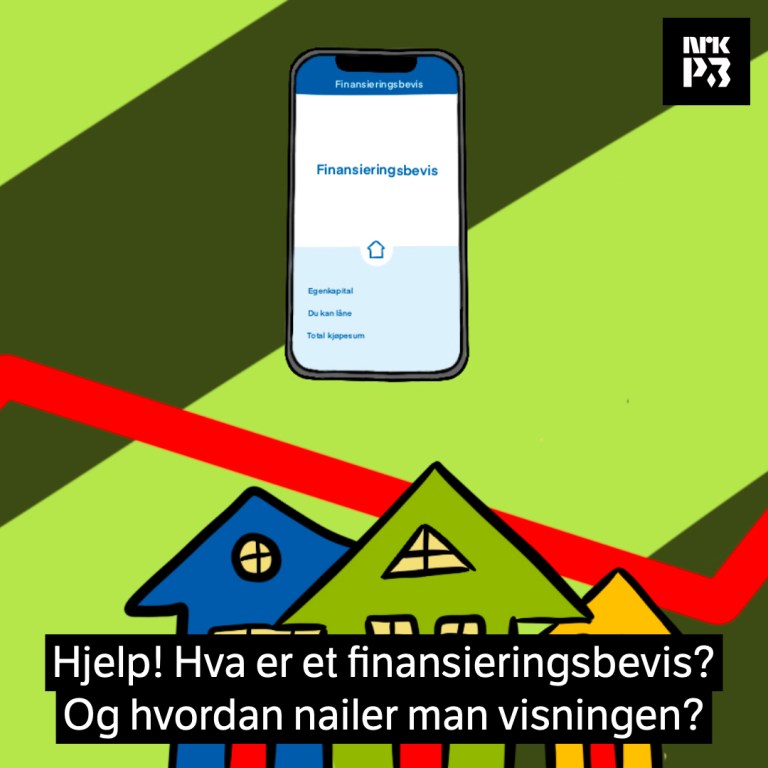 Link i bio: Boligmarkedet for nybegynnere