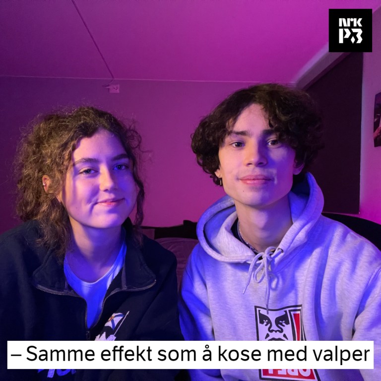 Link i bio: – Samme effekt som å kose med valper