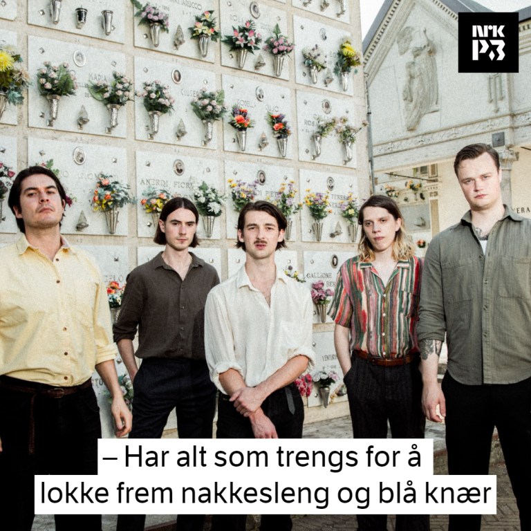 Link i bio: – Musikken å høre på når «Gyda» kommer for å velte trærne i hagen