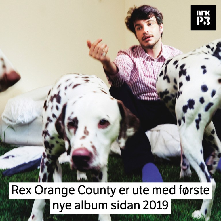 Link i bio: – Her skrantar det mykje